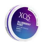 XQS Blueberry Mint (8 mg/pouch)