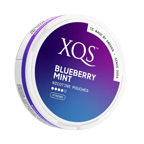 XQS Blueberry Mint (8 mg/pouch)