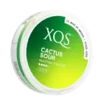 XQS Cactus Sour (8 mg/pouch)