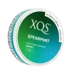 XQS Spearmint (8 mg/pouch)